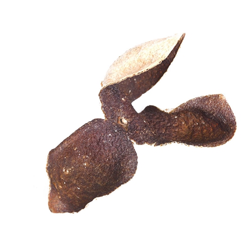 廈門特級檸檬紅茶品牌