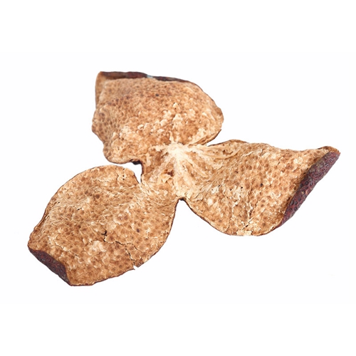 中山特級天馬午夜黄片直接看品牌